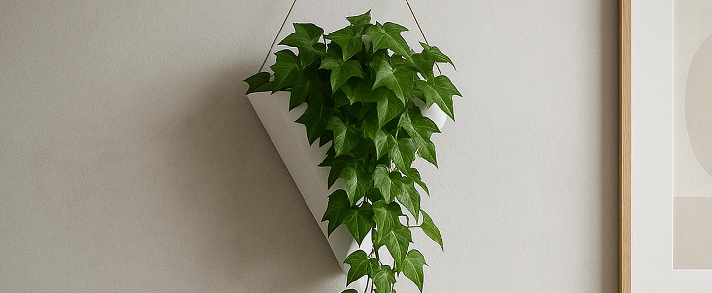 Fuze Hanging Wall Planter